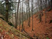 szlak kołó Zamkowej Góry , Pieniny